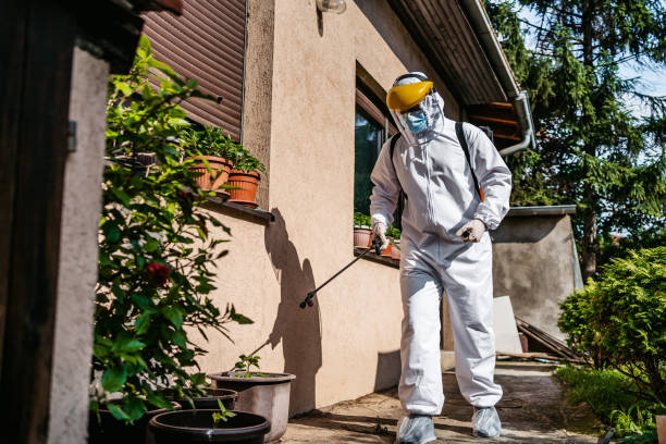 Reliable Sycamore, GA Pest Control Solutions