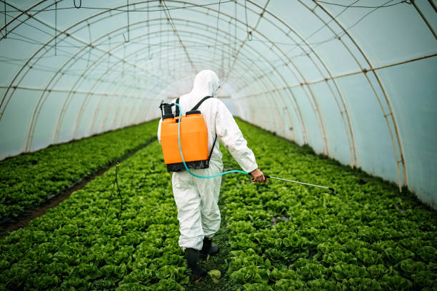 Best Best Pest Control Companies  in Sycamore, GA