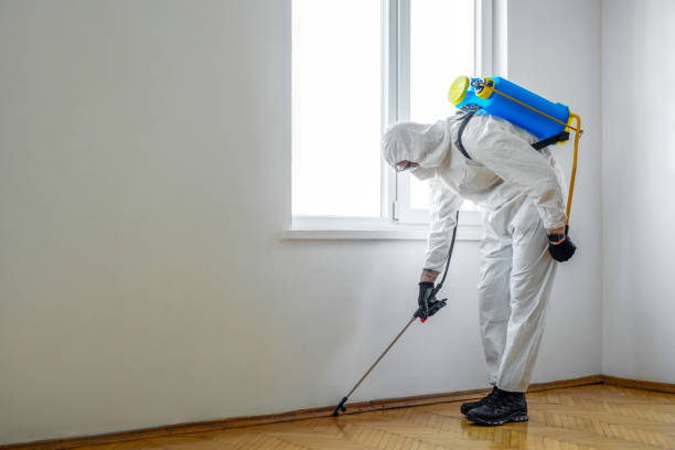 Best Best Pest Control Companies  in Sycamore, GA