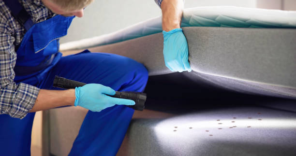 Best Residential Pest Control  in Sycamore, GA